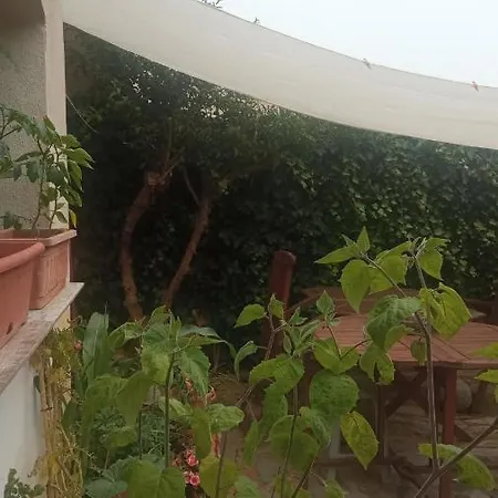 Nadales Benalmádena