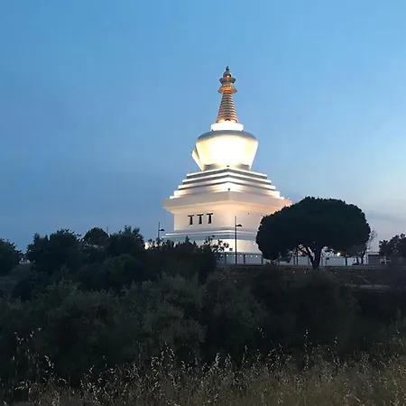 Nadales Benalmadena
